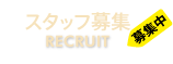 スタッフ募集