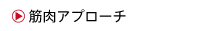 筋肉アプローチ