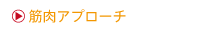 筋肉アプローチ