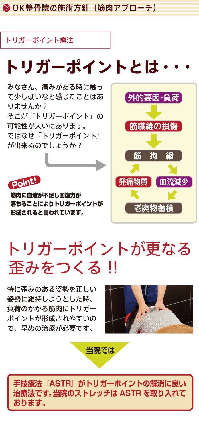 OK西宮整骨院の施術方針（筋肉アプローチ）